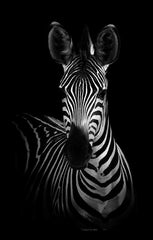df67fd72964c78ed092f688d9d94fef2