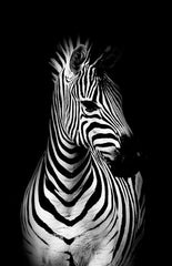 b8d6d8b587d2991d0723519275844f7e